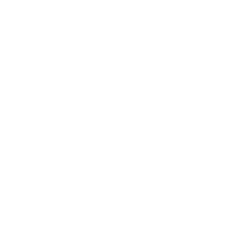 Video conference icon with two people